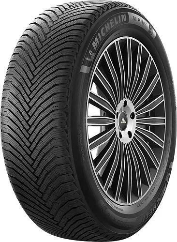/home/bitrix/ext_www/new.nevaonline.ru/upload/import_images/michelin_alpin_7.jpg