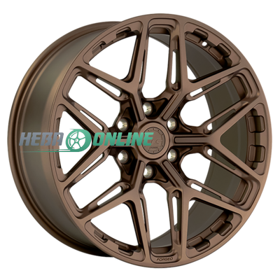/upload/import_images/wheel/LS_Forged_LS_FG53_src_big_MBZ.png