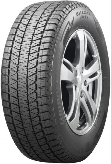 /home/bitrix/ext_www/new.nevaonline.ru/upload/import_images/bridgestone_blizzak_dm_v3.jpg