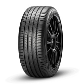 Cinturato P7 P7C2 