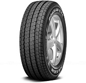 Roadian CT8 