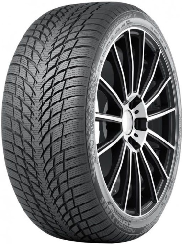 /home/bitrix/ext_www/new.nevaonline.ru/upload/import_images/ikon_tyres_wr_snowproof_2.jpg