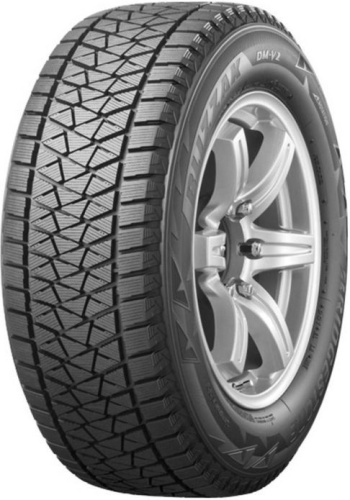 /home/bitrix/ext_www/new.nevaonline.ru/upload/import_images/bridgestone_blizzak_dm_v2.jpg